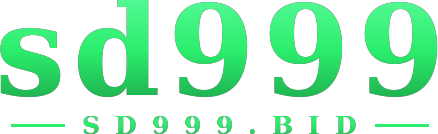 sd999 logo